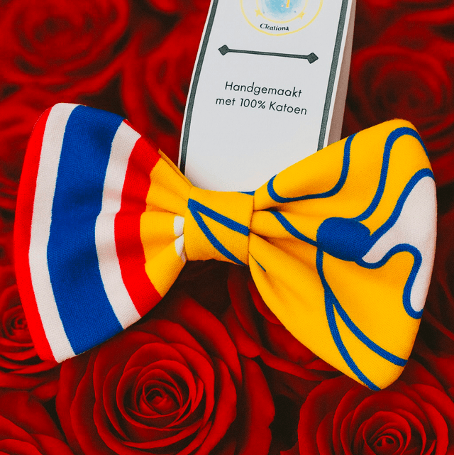 Haarvlinder met Elastiek – Handgemaakte Haarstrik in Geel, Blauw, Rood & Wit van 100% Katoen