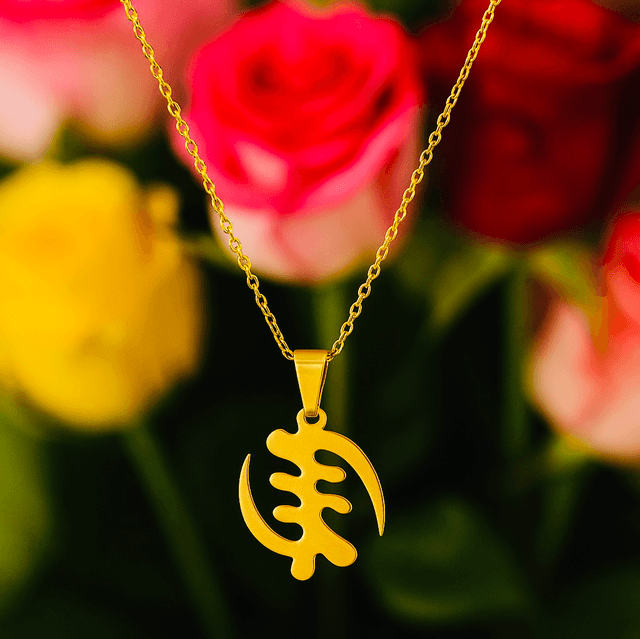 Fawohodie Gouden Ketting – Vrijheid & Kracht